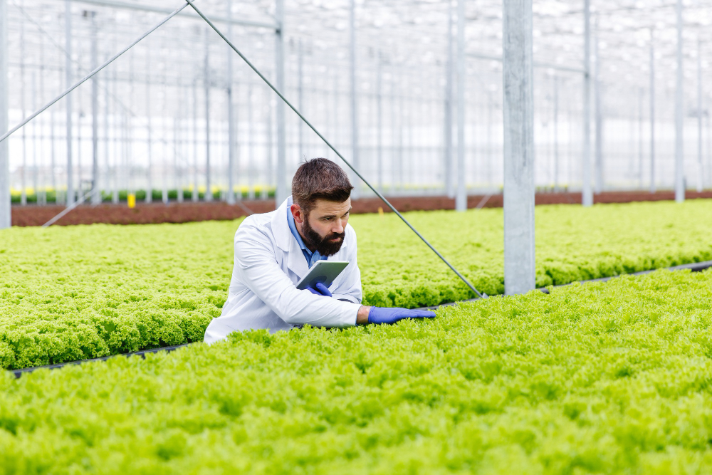 مشروع التنمية الزراعية